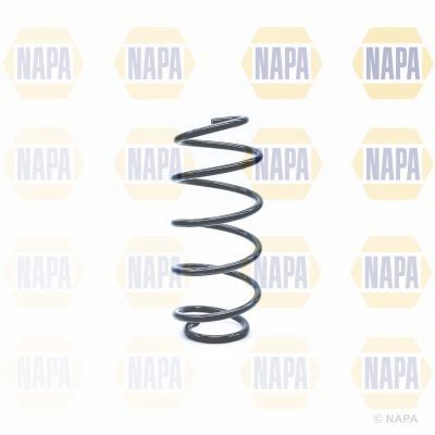 Genuine NAPA Coil Spring Front for Ford 1215300 Napa  - Dynamic Drive