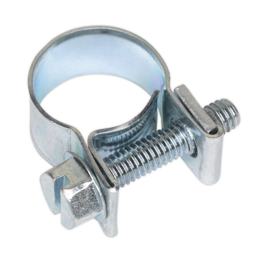 Sealey Mini Hose Clip11-13mm Pack of 30 MHC1113 Sealey  - Dynamic Drive