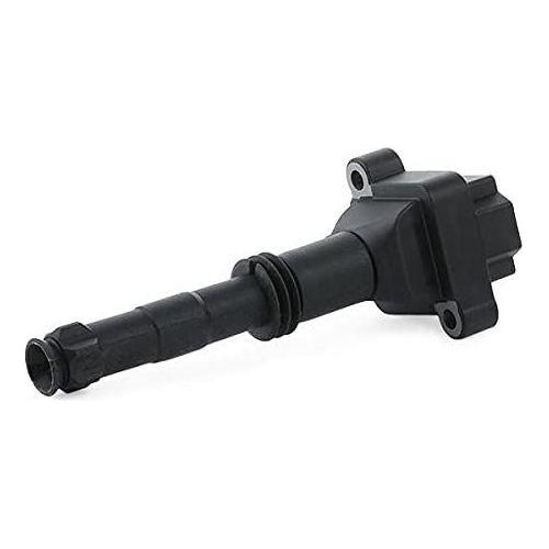 Delphi Ignition Coil GN10504-12B1 Delphi  - Dynamic Drive