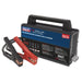 Sealey 12V Battery Support Unit & Charger 100A BSCU170 Sealey  - Dynamic Drive