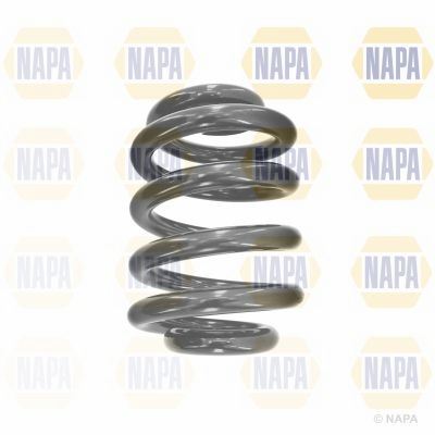 Genuine NAPA Coil Spring Rear for VW Volkswagen 7E0511115B Napa  - Dynamic Drive