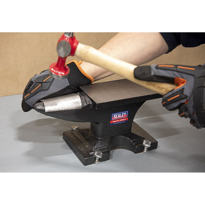 Sealey Anvil 11kg ANV11 Sealey  - Dynamic Drive