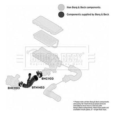 Genuine Borg & Beck Air Filter Hose fits Renault Clio 5981299 BTH1453 Borg & Beck  - Dynamic Drive