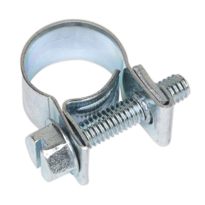 Sealey Mini Hose Clip10-12mm Pack of 30 MHC1012 Sealey  - Dynamic Drive