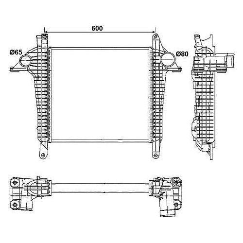 NRF Radiator fits MAN TGL NRF  - Dynamic Drive