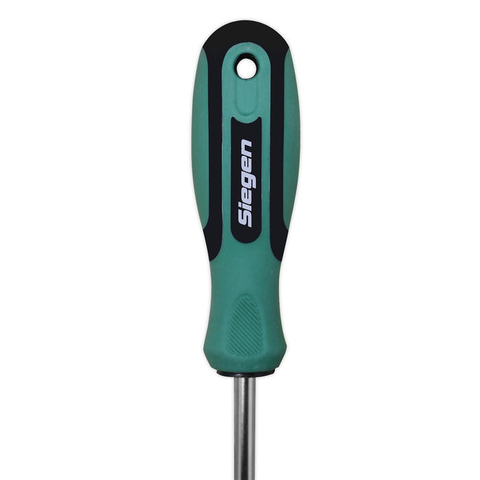 Sealey Screwdriver Pozi #2 x 100mm S01186 Siegen by Sealey  - Dynamic Drive