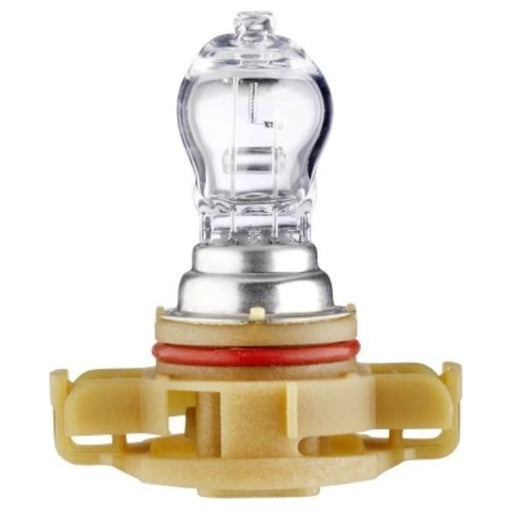 Hella Bulb PS24W Standard 12V 24W Quantity: 1 8GA 223 569-011 Hella  - Dynamic Drive