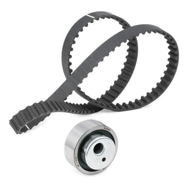 Ina Timing Belt Kit 530001210 Ina  - Dynamic Drive