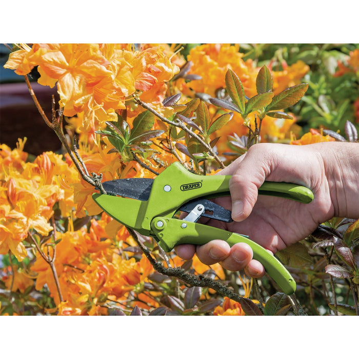 Draper Ratchet Action Anvil Pattern Secateurs, 190mm 34478 Draper  - Dynamic Drive