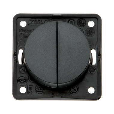 Berker Twin Double Momentary Rocker Switch Anthracite - Versatile and Stylish Interior Solution Berker  - Dynamic Drive