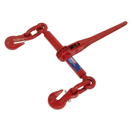 Sealey Ratchet Load Binder 9.5-12.7mm 4200kg Capacity LB002 Sealey  - Dynamic Drive