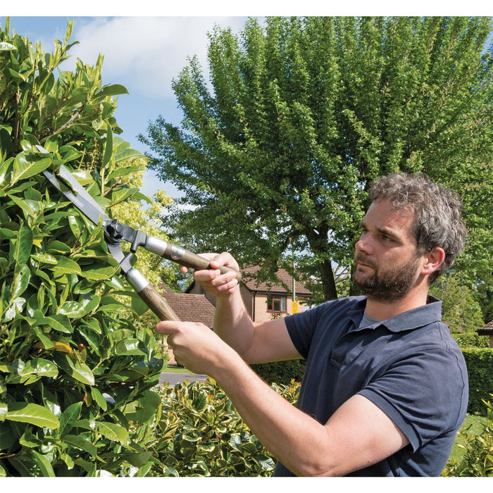 Draper Garden Shears with Straight Edges and Ash Handles, 230mm 36791