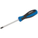 Draper PZ Type Screwdriver, No.2 x 100mm 63501 Draper  - Dynamic Drive