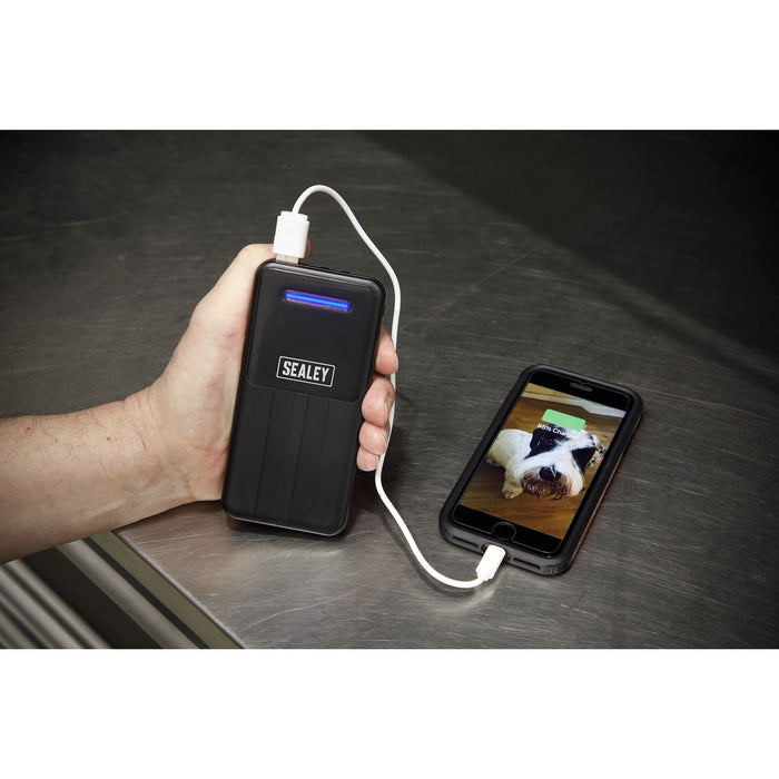 Sealey Portable Power Bank 10W 20000mAh SPB102 Sealey  - Dynamic Drive