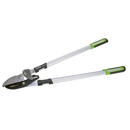 Draper Ratchet Action Anvil Pattern Loppers, 750mm 94984 Draper  - Dynamic Drive