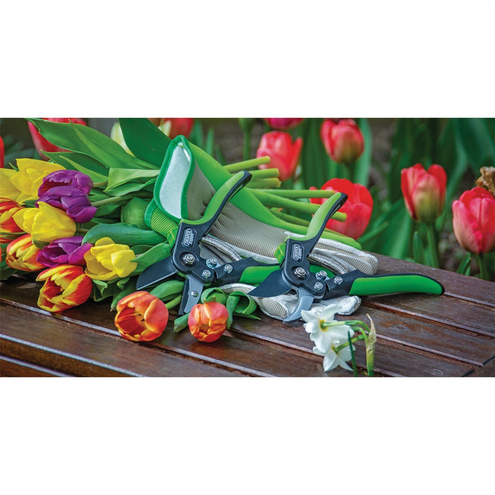 Draper Anvil Pattern Secateurs, 200mm 94983