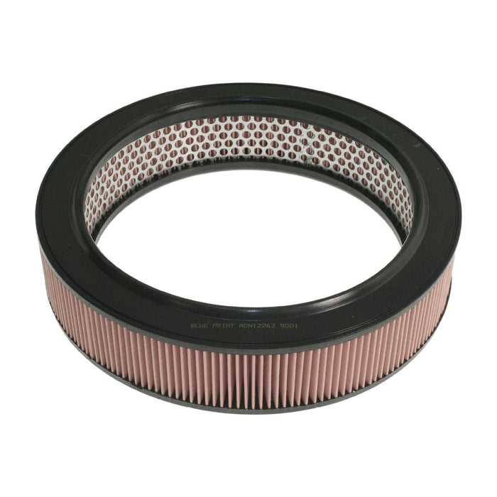 Blue Print ADN12263 Air Filter