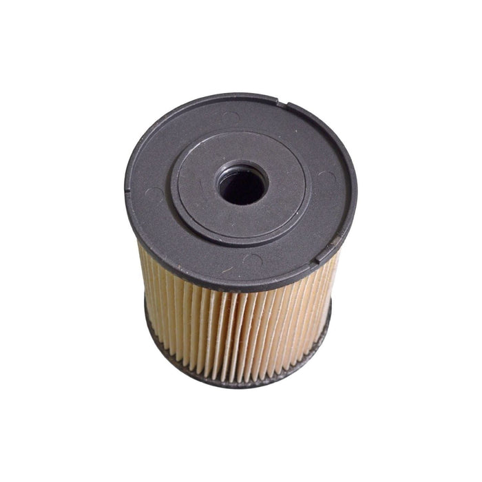 Blue Print ADV182325 Fuel Filter