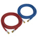 Sealey Welding Hose Set Oxyacetylene EN ISO 3821 (EN 559) 5m WH05 Sealey  - Dynamic Drive