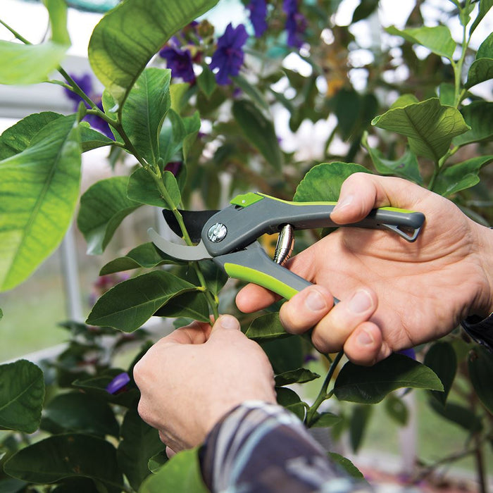 Silverline Bypass Secateurs 200mm Silverline  - Dynamic Drive