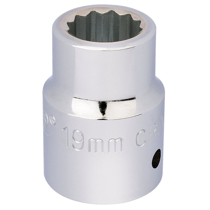 Draper 12 Point Socket, 3/4" Sq. Dr., 19mm 16690 Draper  - Dynamic Drive