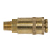 PCL PCL Non-Corrodible Coupling Body Male 1/4"BSPT AC91 PCL  - Dynamic Drive