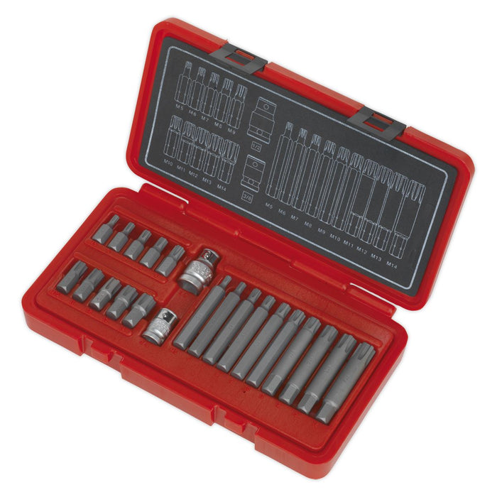 Sealey Ribe Bit Set 22Pc 3/8Inch & 1/2Inchsq Drive